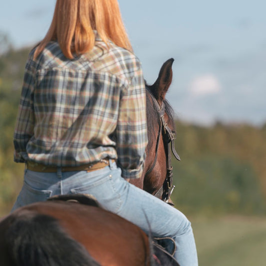 Riding in Comfort: Wrax's Equestrian Adventure